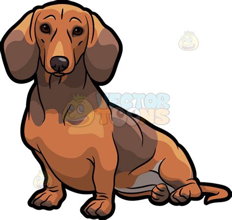 weiner dog clipart – free weiner dog clipart images – Kuchi