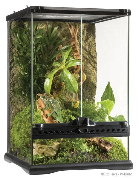 Exo Terra 12x12x18 Terrarium Tank | The Bio Dude