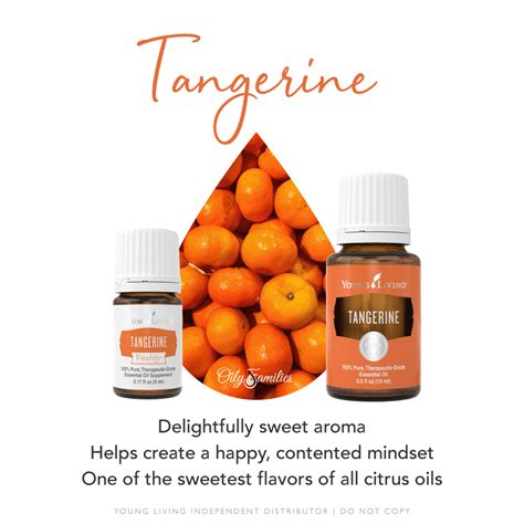 Tangerine Essential Oil • Abundance in Simplicity