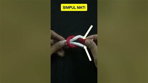 Simpul Mati Cara Membuat dan Kegunaanya #simpulmati #simpulpramuka #talitemali - YouTube