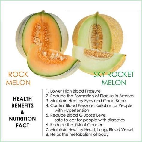 Twitter | Melon health benefits, Fruit health benefits, Food health benefits