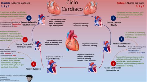 Fisiología Básica: febrero 2015