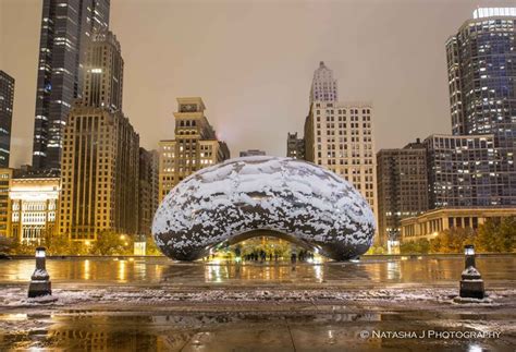 First snow in Chicago!!! Our Bean looks like Amanita today | Chicago ...