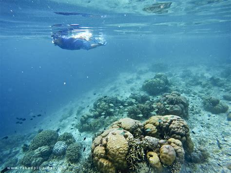 Snorkeling in Kanawa Island Flores Indonesia