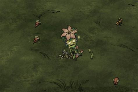 Wormwood | Don't Starve & DST Guide - Basically Average