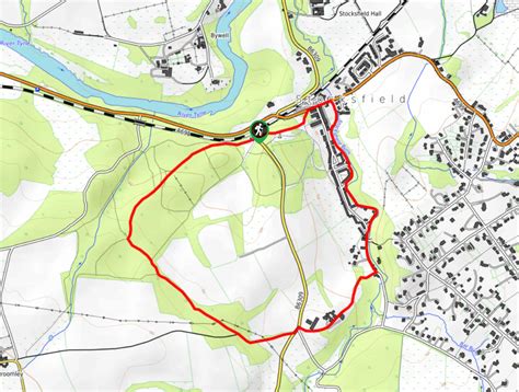 Stocksfield and Shilford Wood Circular - A Nice Forest Walk