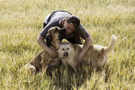 Petting Dogs May Give Us the Same Health Benefits as Socializing