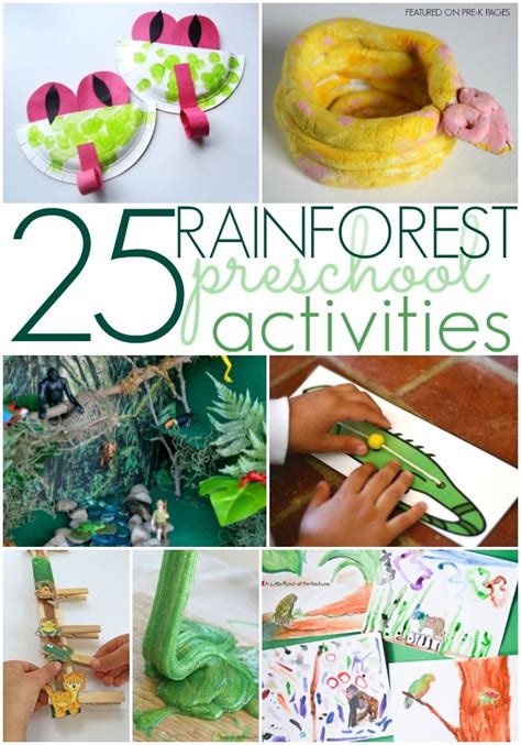 128 best images about Amazon Rainforest on Pinterest | Animal crafts, Unit studies and Rain sticks