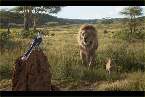 Is There a 'The Lion King' End Credits Scene?: Photo 4322665 | Pictures ...