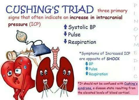 Pin on nursing