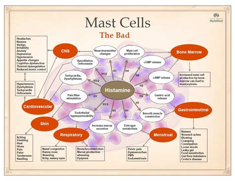 Mast Cell Activation Syndrome (MCAS) Genetic Optimization