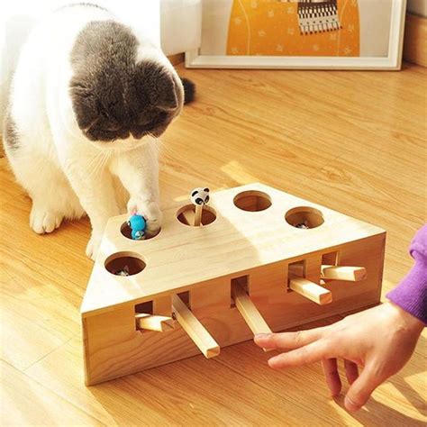 The best interactive cat toys for indoor cats are essential to get your ...