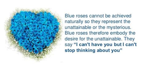 meaning of blue rose