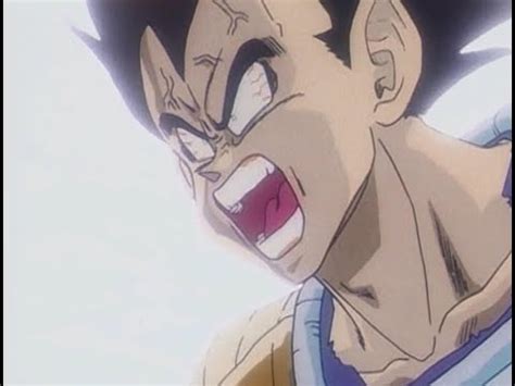 TFS Vegeta Screams Across The Multiverse - YouTube