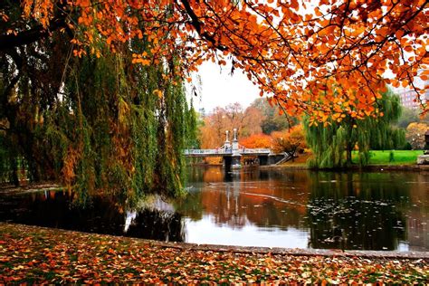 Fall in love with Boston! Fall Foliage Tour, New England Fall Foliage ...