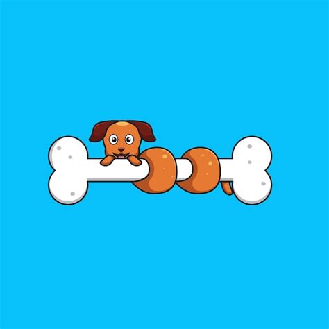 Premium Vector | Dachshund around bone cartoon vector illustration