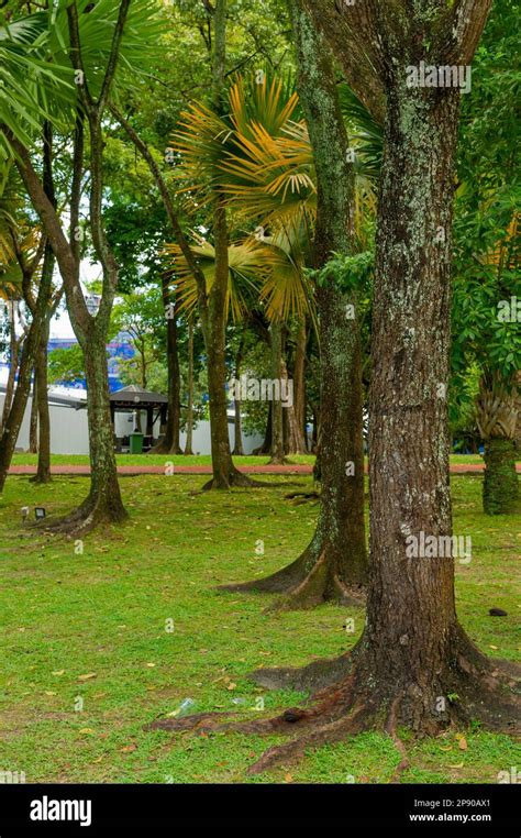 KLCC Park, Kuala Lumpur, Malaysia Stock Photo - Alamy