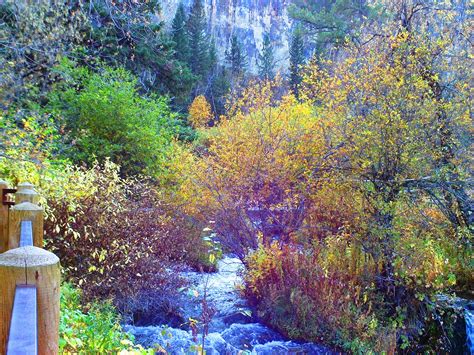 Spearfish Canyon, South Dakota | Spearfish canyon, Landscape paintings, Spearfish south dakota