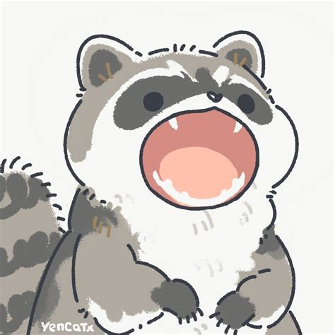 Raccoon Drawing, Raccoon Art, Cute Raccoon, Racoon, Cute Animal ...