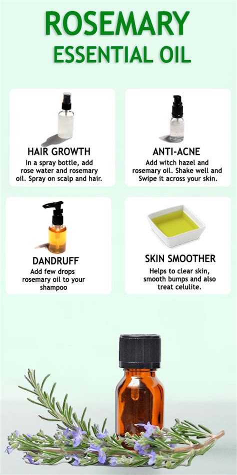 ROSEMARY ESSENTIAL OIL - BENEFITS AND USES - The Little Shine in 2021 | Essential oils rosemary ...