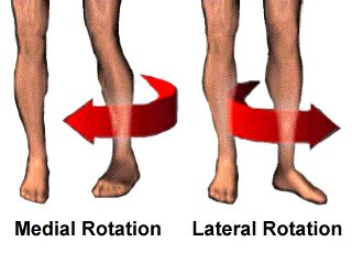 Medial And Lateral Rotation