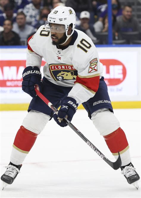 Anthony Duclair Stats, Profile, Bio, Analysis and More | New York Islanders | Sports Forecaster