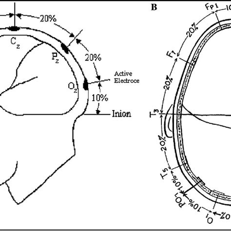 Visual evoked potential electrode locations. (A) Location of active and... | Download Scientific ...