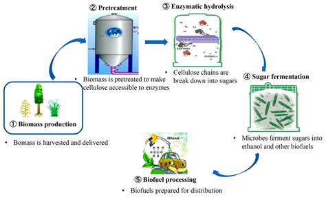 Hydrolysis Reaction Diagram