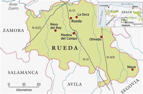 Rueda wines: What you need to know - Decanter