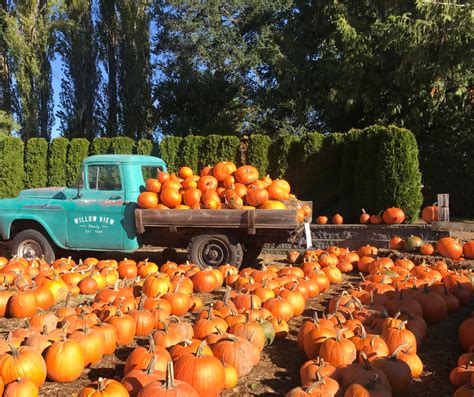 Find Local Pumpkin Patches, Hay Rides, Orchards and Festivals!