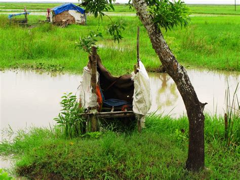 This kind of hanging latrine on the edge of a stream can spread ...