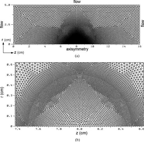 Transient deformation and drag of decelerating drops in axisymmetric flows | Physics of Fluids ...