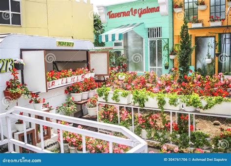 CELOSIA Garden in Semarang that Made Like an EUROPE Stock Photo - Image ...