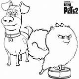 Free The Secret Life Of Pets 2 Coloring Pages Printable sketch template