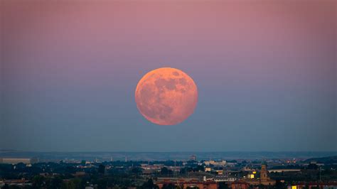 Strawberry moon: What the June full moon means for your zodiac - ABC7 San Francisco