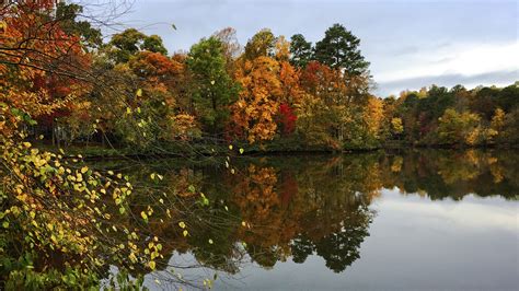 Fall Colors Down by the Lake