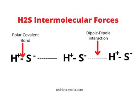 H2S Intermolecular Forces (Strong or Weak) - Techiescientist