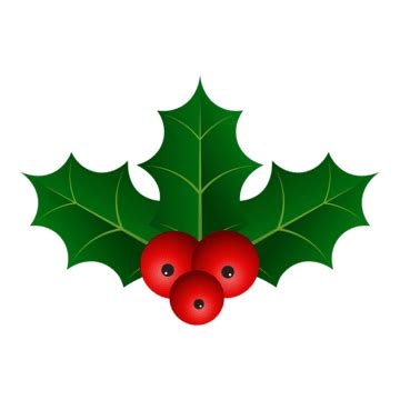 Clipart Holly Leaf