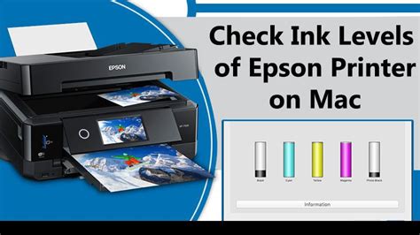 How To Check Ink Levels On Epson Printer In Windows 10 and Mac? [Fix]