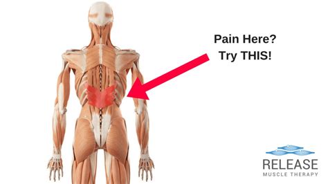 Serratus Posterior Inferior Pain – How To Fix