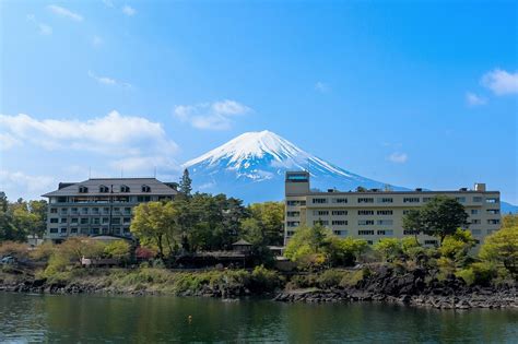 FUJI LAKE HOTEL | UPDATED 2024 Reviews, Price Comparison and Photos (Japan/Fujikawaguchiko-machi ...