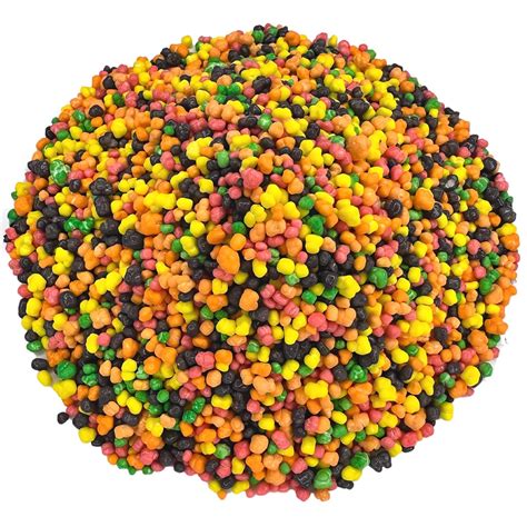 Amazon.com : Rainbow Nerds Candy Bulk | By Blue Clover Foods | Tiny Pebble Fruit Flavored ...