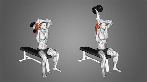 One Armed Overhead Dumbbell Triceps Extension