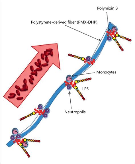 Polymyxin B cartridge. | Download Scientific Diagram