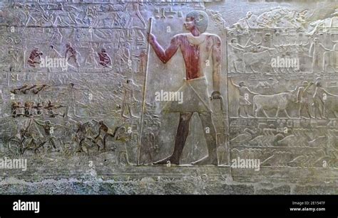 Scene the North side of the East Wall of Ptahhotep area in Mastaba D64 ...