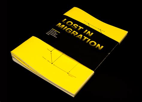 Lost in Migration // Data Visualization Report on Behance