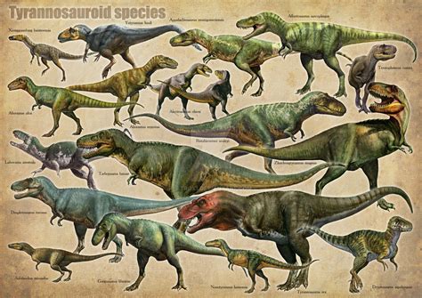 tyrannosaurs | Dinosaur, Prehistoric animals, Dinosaur art