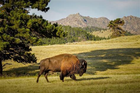 644 Harris Park Rd., Wheatland, WY 82201 | Land.com