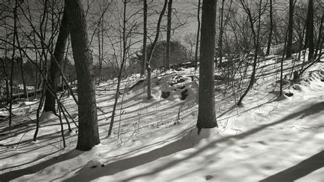 Franklin Massachusetts April 2016 Franklin Massachusetts, April 2016, Let It Snow, Snowfall ...