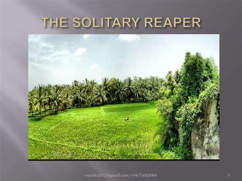 The solitary reaper